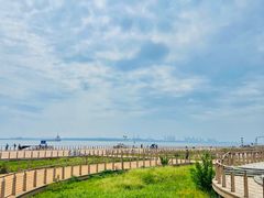 -东疆建设开发纪念公园