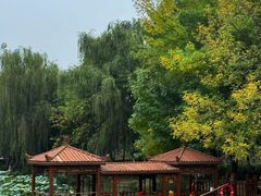 -西安浐灞国家湿地公园