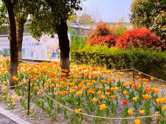 -祥源·阜阳生态乐园