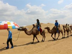 -石家庄市动物园