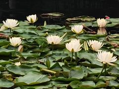 -西湖天地