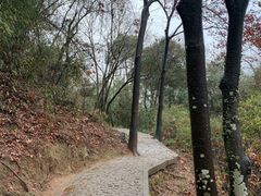 -上海佘山国家森林公园天马山园