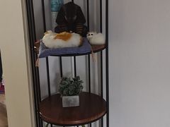 -白河湾生态旅游一条川