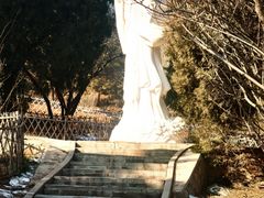 -北京西山国家森林公园