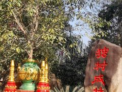 -独树成林