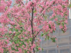 -大悦城(沈阳中街店)