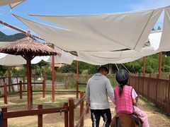 -杭州开元森泊度假乐园