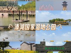 -溱湖国家湿地公园
