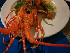 -Onion restaurant