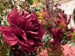 -上海安亭别墅花园酒店