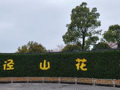 -径山花海