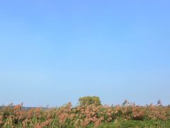 -同里国家湿地公园