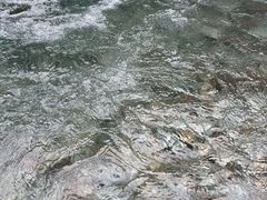 -虹口漂流