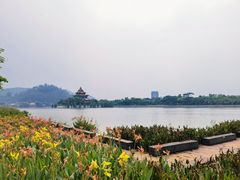 -顺峰山公园