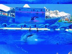 -上海海昌海洋公园