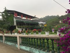 -枇杷沟农家乐·柴火鸡