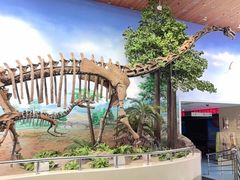 -延庆地质公园博物馆