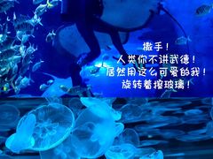 -上海海昌海洋公园