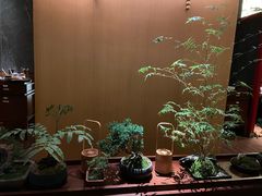 -300杯·和牛烧肉清酒专门店(廊里店)