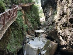-鹿院坪生态旅游景区