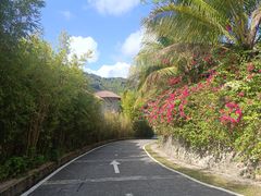 -海南槟榔谷黎苗文化旅游区