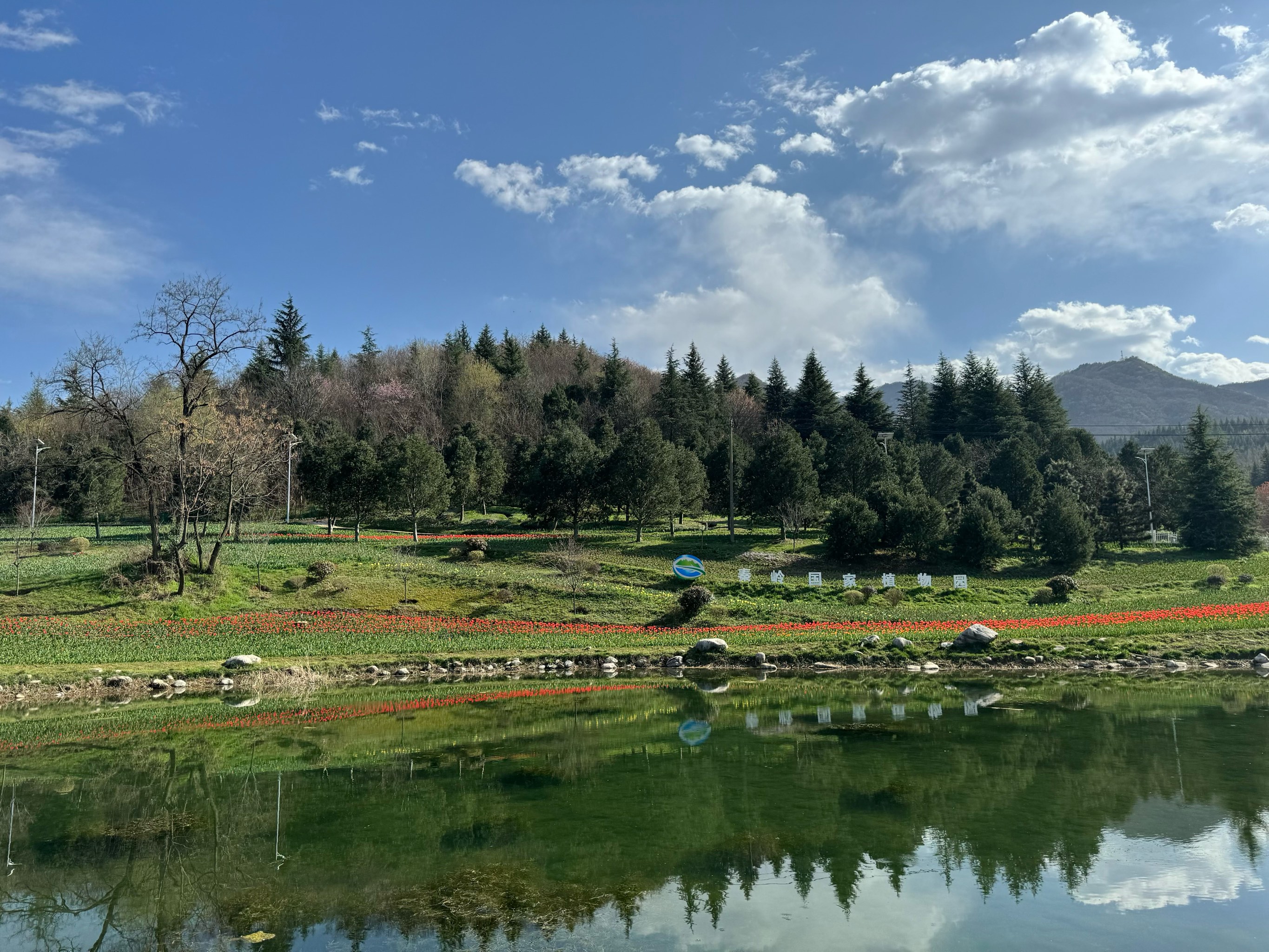 秦岭植物大全图片