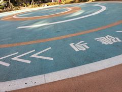-西苑公园