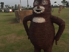 -明珠湖天鹅苑·农家菜馆