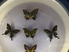 -下渚湖国家湿地公园科普馆