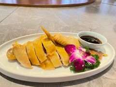 三黄鸡-碧丽宫大酒店(召稼楼店)