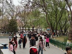 -石家庄市动物园