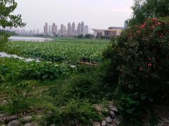 -月湖风景区
