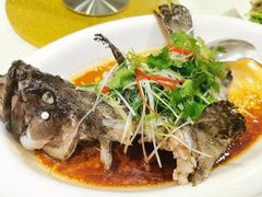 清蒸深海斑-海皇酒家(钰海万国汇购物广场店)