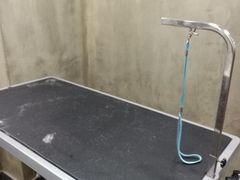 -八公叔叔宠物美容连锁(春申店)