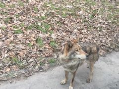 -西安秦岭野生动物园