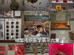 -北京中医药大学-中医药博物馆