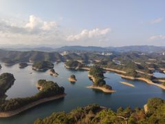 -浔味·山屿湖·正宗淳牌全鱼宴老字号