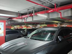 -中山公园-龙之梦停车场