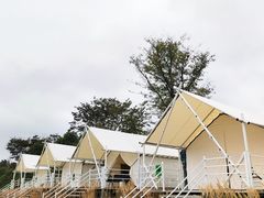 -苏州太湖国家湿地公园