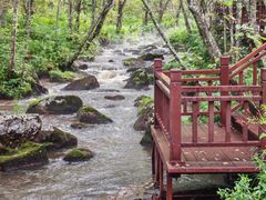 -汤旺河林海奇石景区