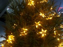 -中央广播电视总台(光华路办公区)