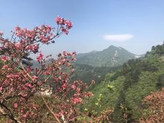 -木兰云雾山