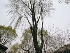 -三里河公园