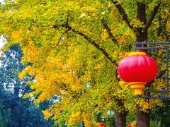 -北京市师达中学