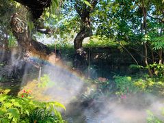 -Chom Cafe and Restaurant