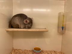 -龙猫仔乐园(惠福东路店)