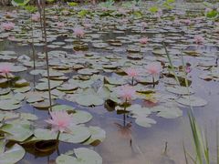 -华南国家植物园-售票处