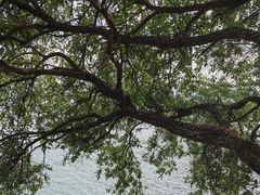 -抚仙湖禄充风景区