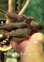 -Zoolung Zoolung动物主题公园(海信广场店)