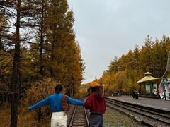 -莫尔道嘎国家森林公园